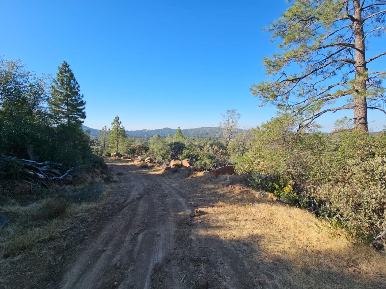 Cloudburst Way, Penn Valley, California image 12