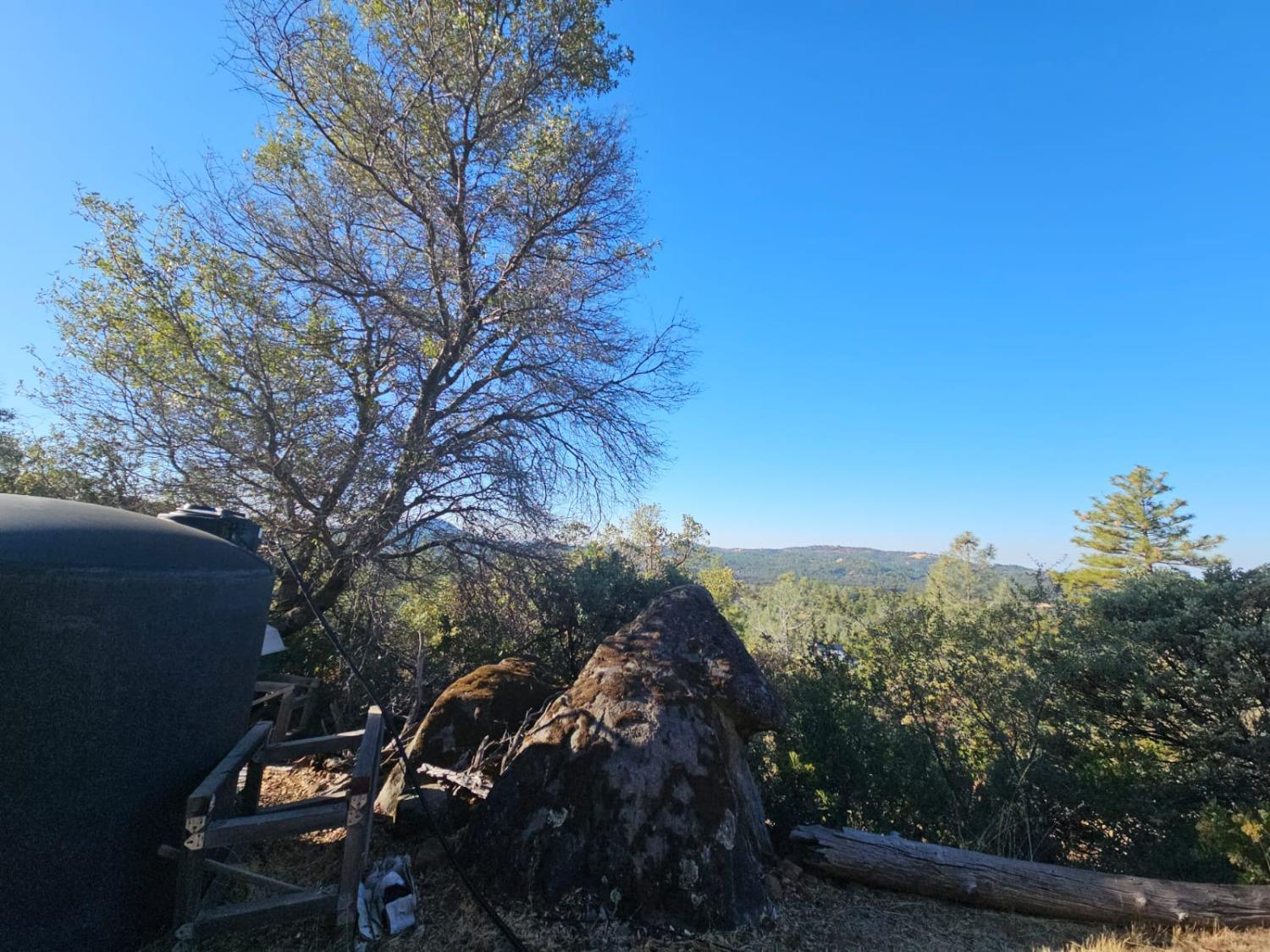 Cloudburst Way, Penn Valley, California image 5