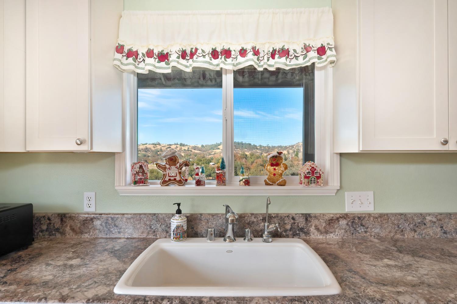 Detail Gallery Image 35 of 99 For 2222 Clair Ct, Valley Springs,  CA 95252 - 3 Beds | 2/1 Baths