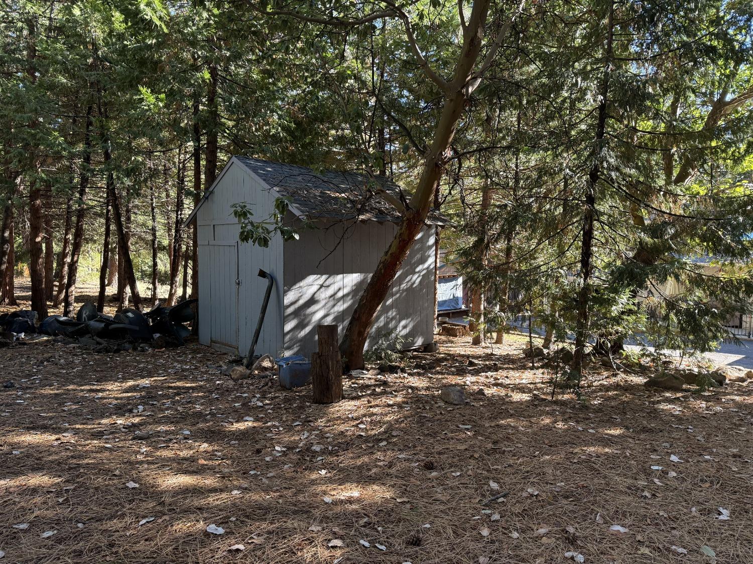 Madrone Court, Pioneer, California image 5