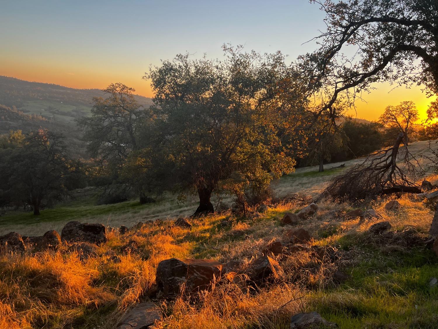 Ballantree Lane, Grass Valley, California image 2