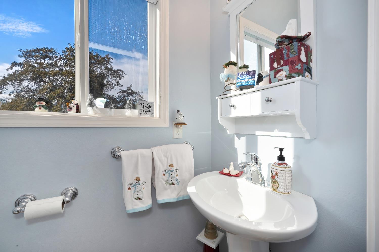 Detail Gallery Image 50 of 99 For 2222 Clair Ct, Valley Springs,  CA 95252 - 3 Beds | 2/1 Baths