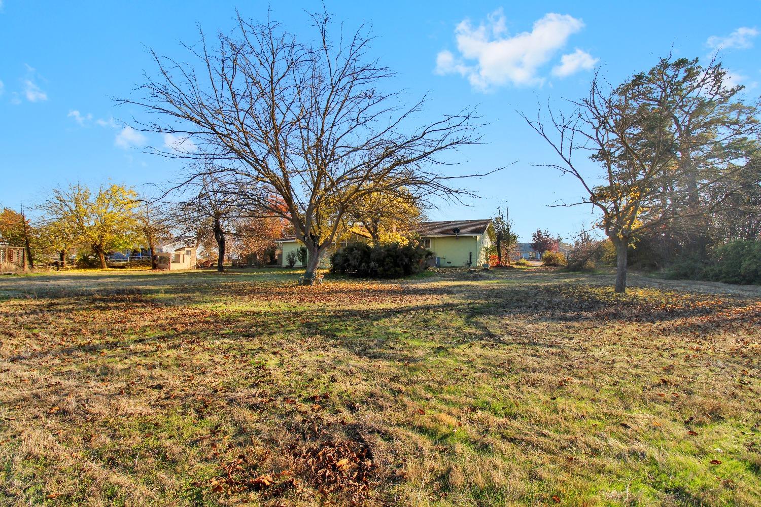 Detail Gallery Image 53 of 61 For 11025 Mann Rd, Wilton,  CA 95693 - 3 Beds | 2 Baths