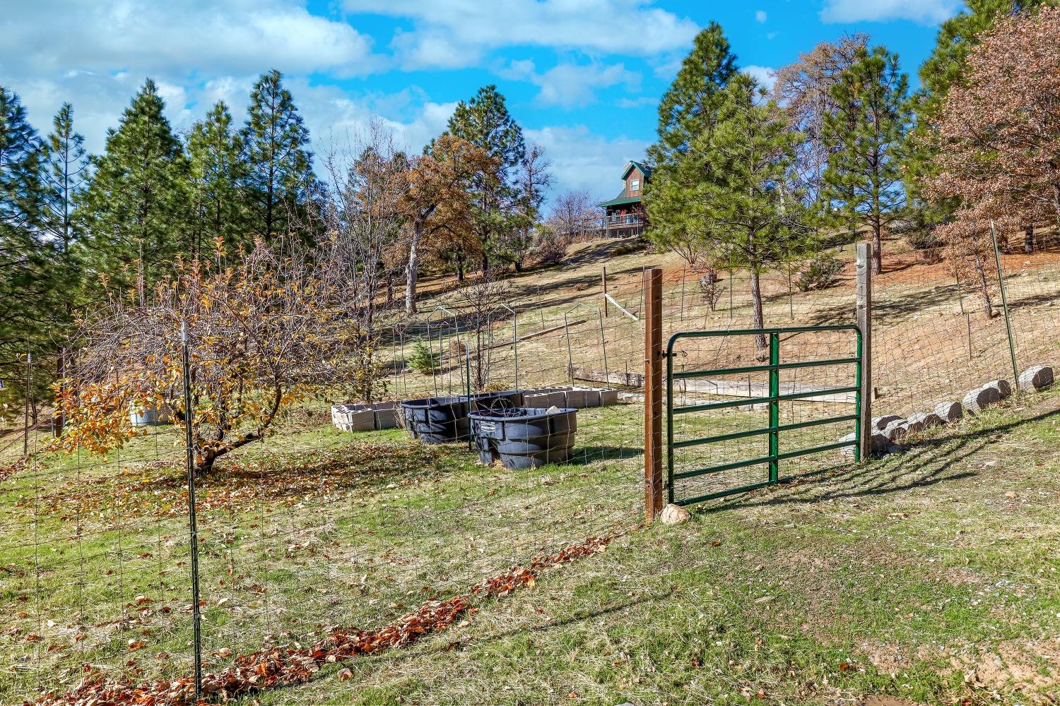 Detail Gallery Image 49 of 79 For 2509 Bald Mountain Rd, West Point,  CA 95255 - 2 Beds | 2 Baths