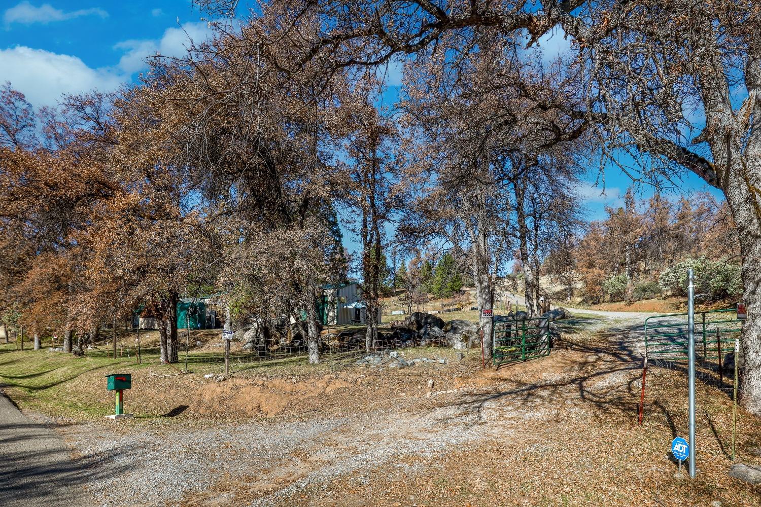 Detail Gallery Image 5 of 79 For 2509 Bald Mountain Rd, West Point,  CA 95255 - 2 Beds | 2 Baths