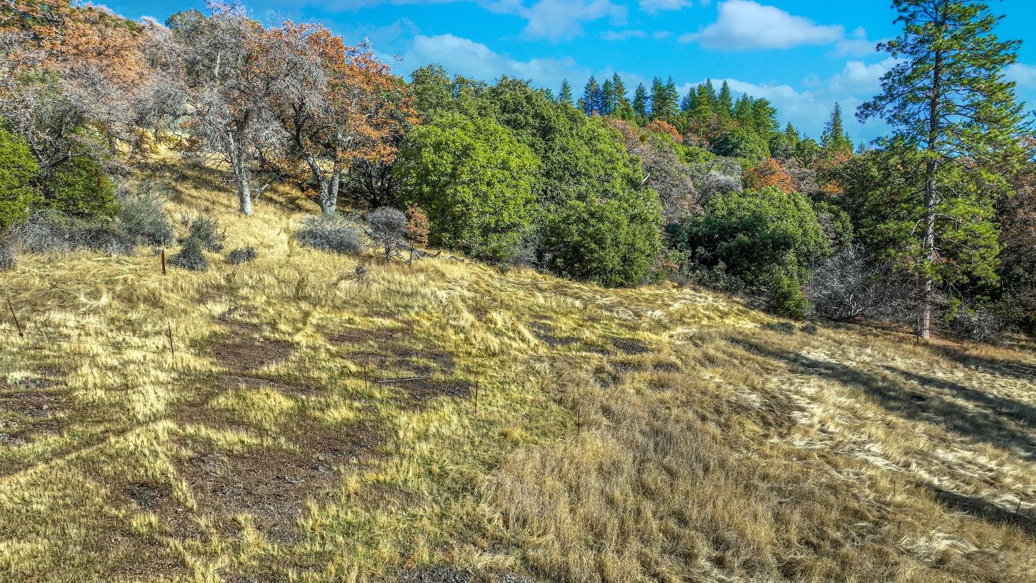 Detail Gallery Image 75 of 79 For 2509 Bald Mountain Rd, West Point,  CA 95255 - 2 Beds | 2 Baths