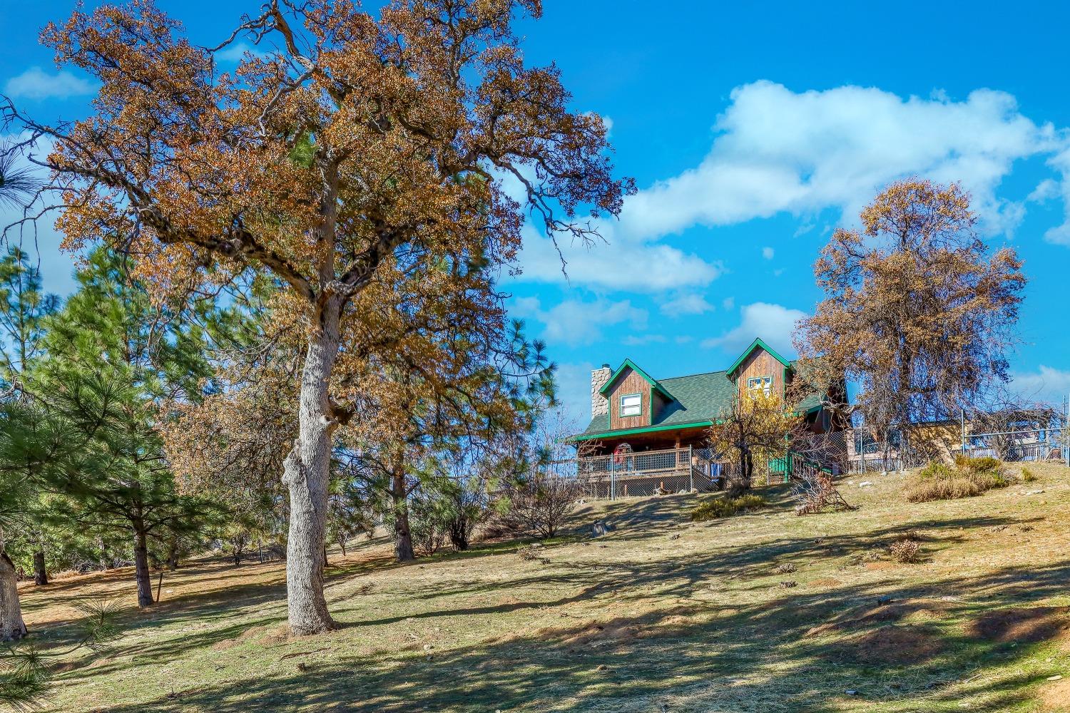 Detail Gallery Image 3 of 79 For 2509 Bald Mountain Rd, West Point,  CA 95255 - 2 Beds | 2 Baths