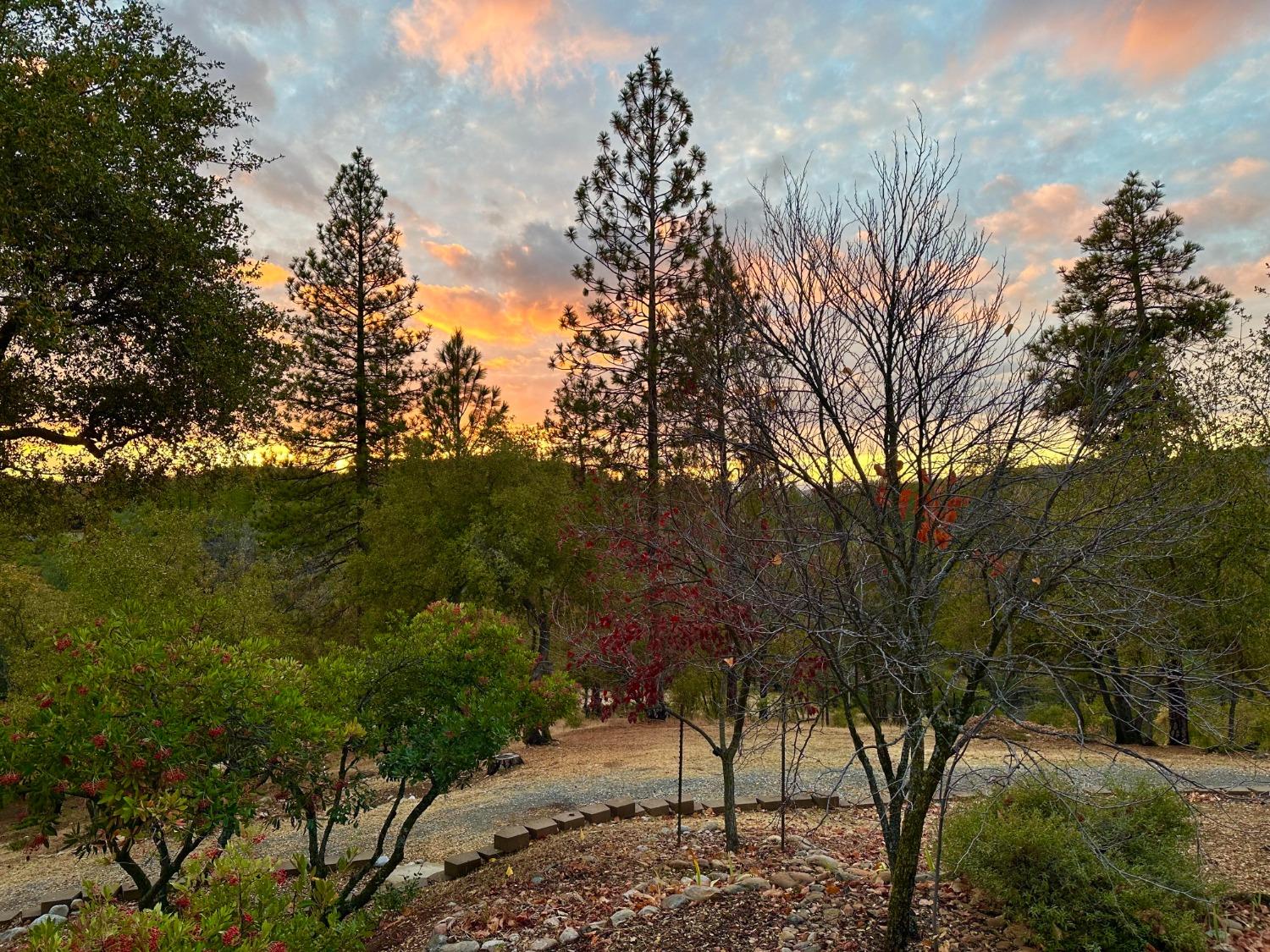 Detail Gallery Image 88 of 89 For 9870 Sheep Ranch Rd, Mountain Ranch,  CA 95246 - 3 Beds | 3 Baths