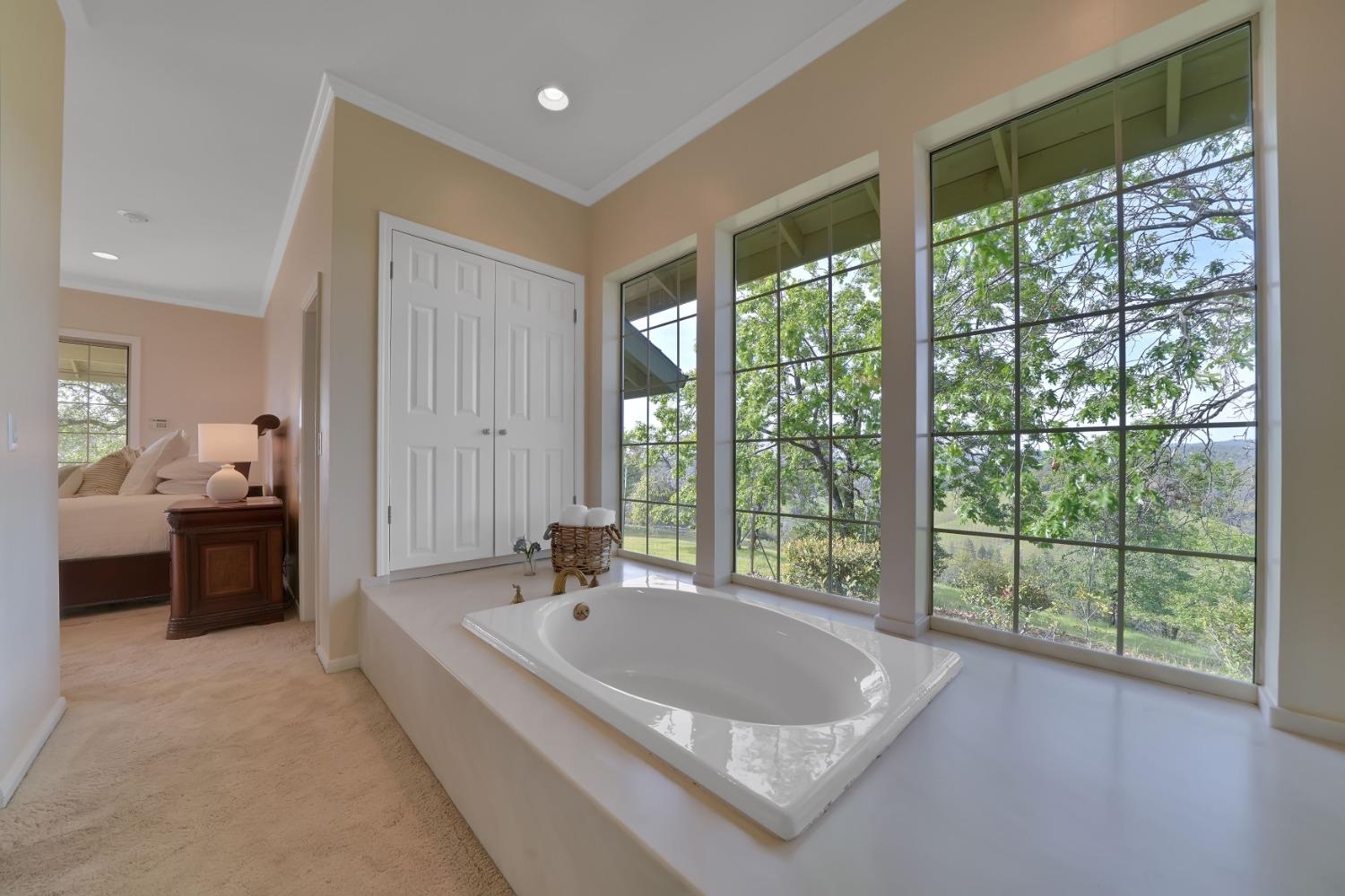 Detail Gallery Image 63 of 98 For 16029 Butte Mountain Rd, Jackson,  CA 95642 - 2 Beds | 2/1 Baths