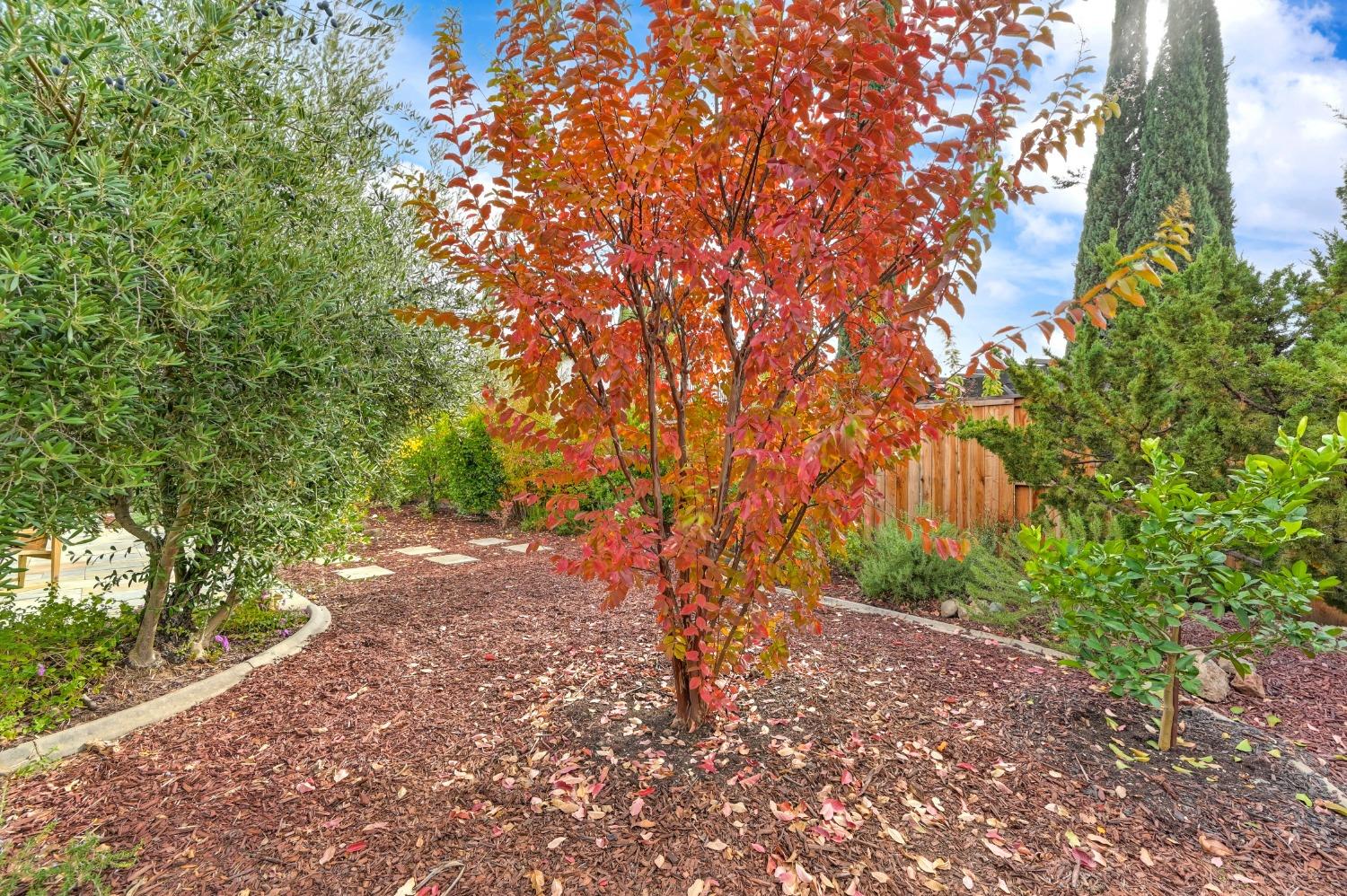 Detail Gallery Image 48 of 48 For 2209 Portmarnock Cir, Roseville,  CA 95678 - 4 Beds | 3 Baths