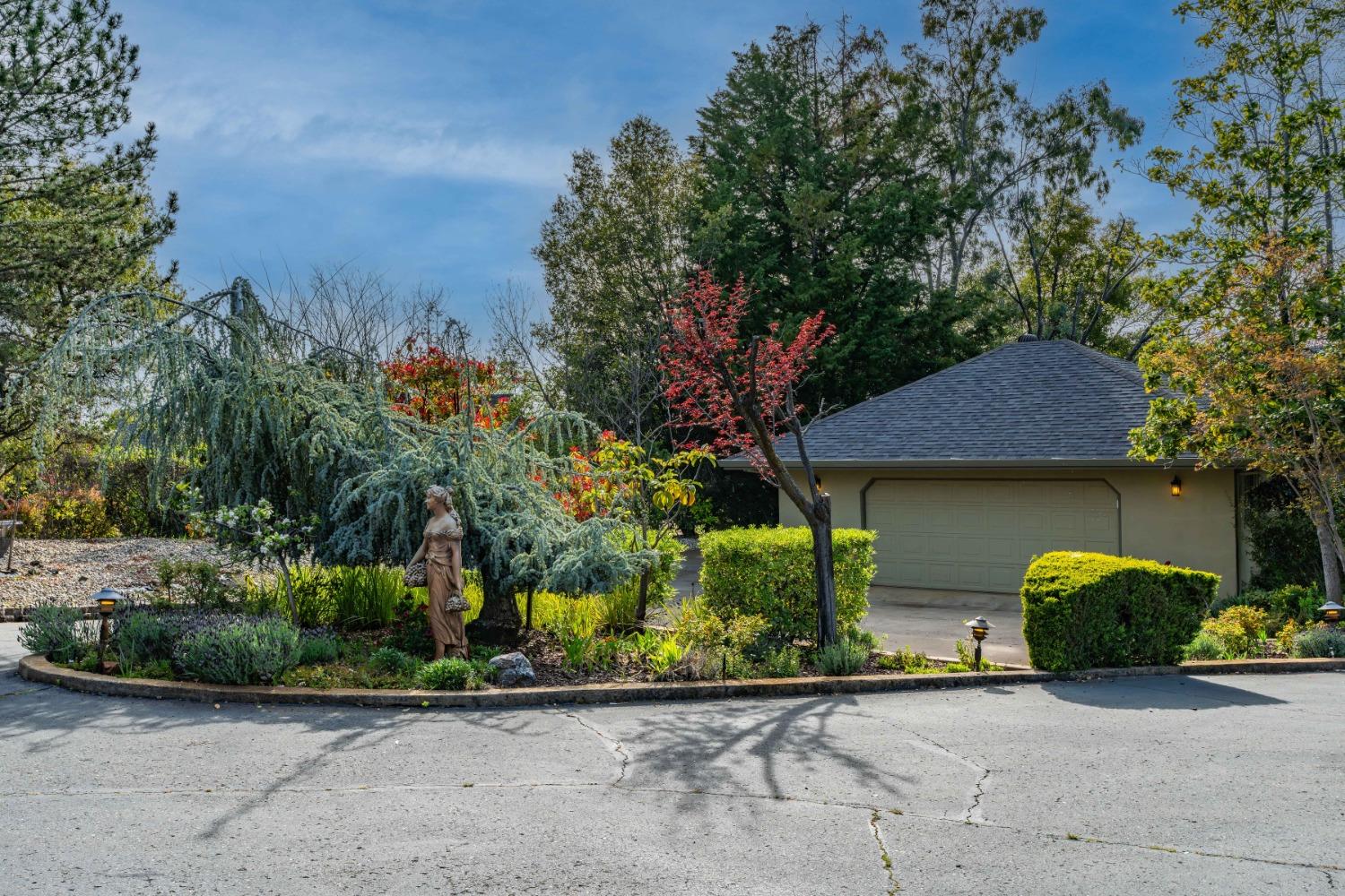 Detail Gallery Image 23 of 98 For 16029 Butte Mountain Rd, Jackson,  CA 95642 - 2 Beds | 2/1 Baths