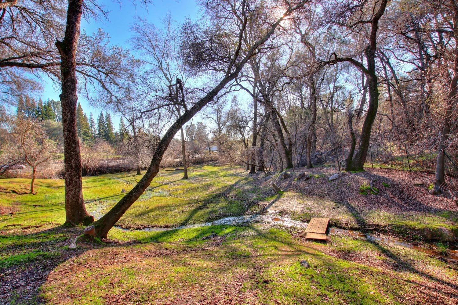 Alabama Mine Road, Penryn, California image 2