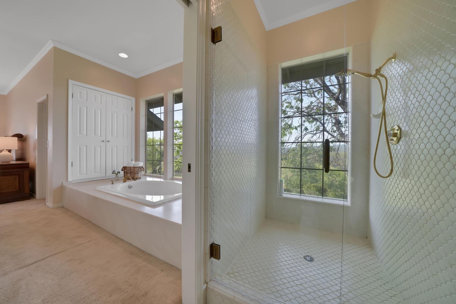 Detail Gallery Image 64 of 98 For 16029 Butte Mountain Rd, Jackson,  CA 95642 - 2 Beds | 2/1 Baths