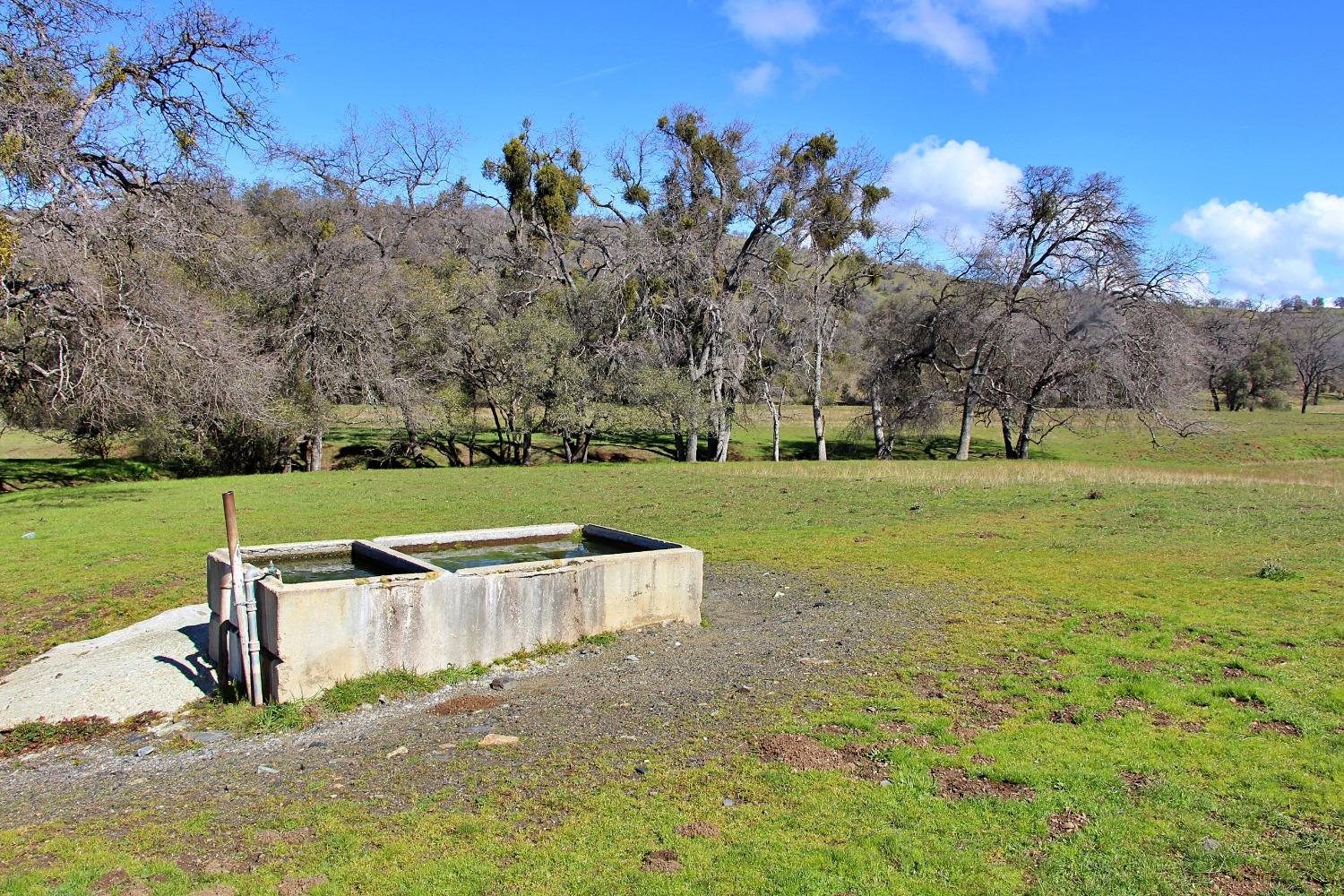 TBD Marshes Flat Road, Coulterville, California image 21