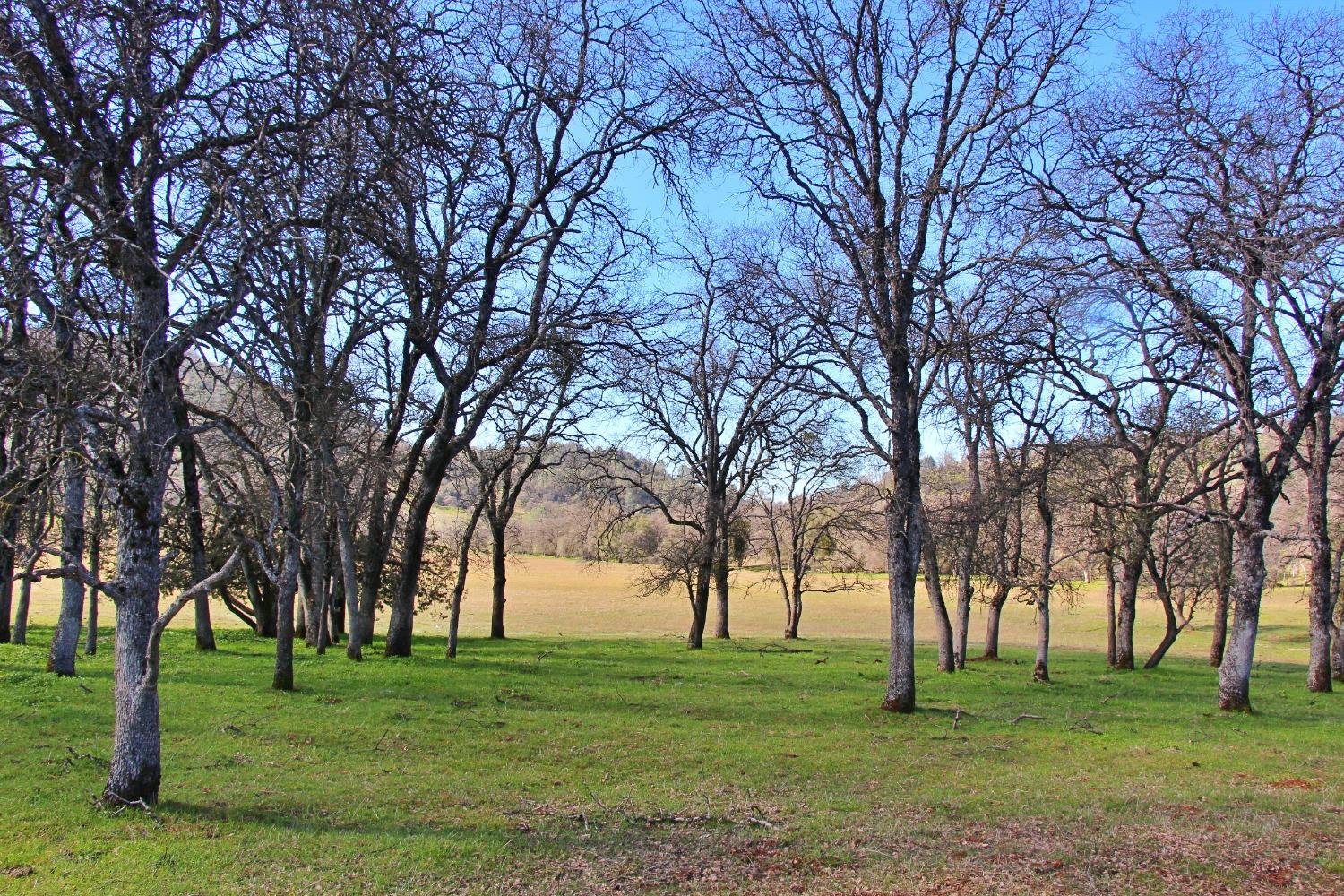 TBD Marshes Flat Road, Coulterville, California image 11