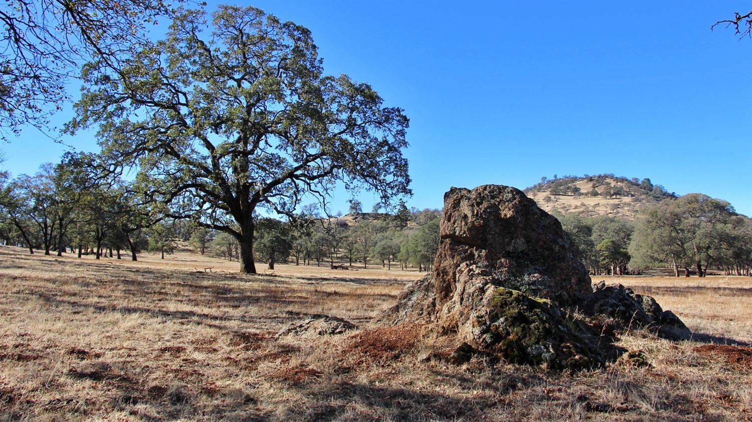 TBD Marshes Flat Road, Coulterville, California image 19