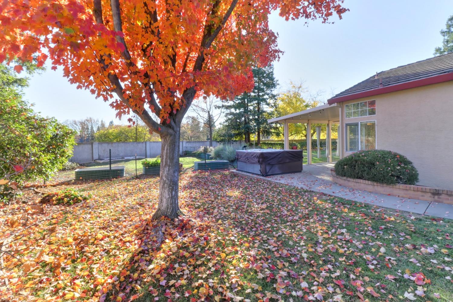 Detail Gallery Image 52 of 57 For 9382 Langdon Ct, Elk Grove,  CA 95624 - 4 Beds | 2 Baths