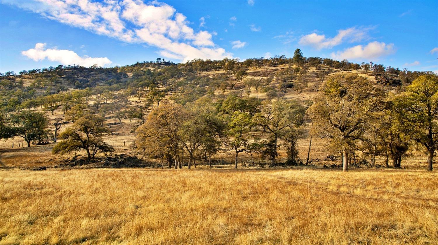 TBD Marshes Flat Road, Coulterville, California image 6