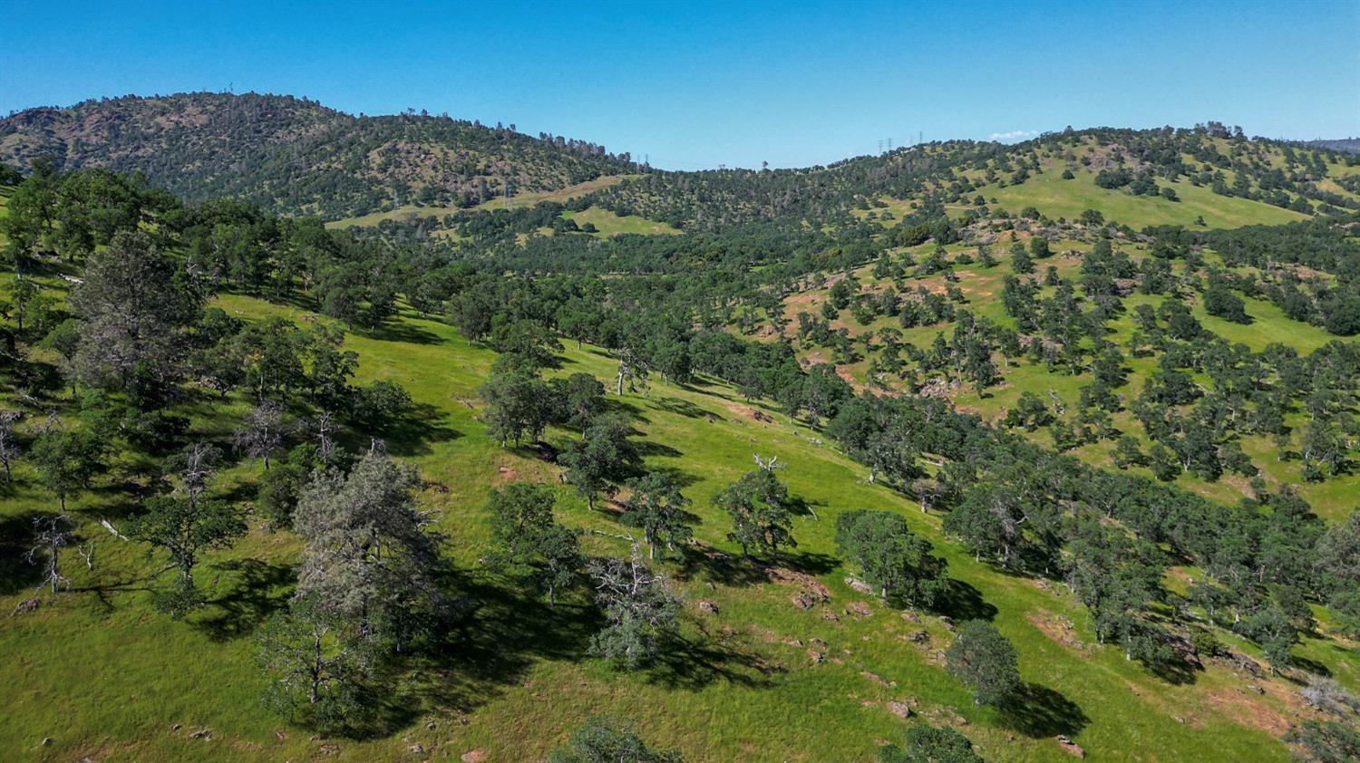 TBD Marshes Flat Road, Coulterville, California image 14