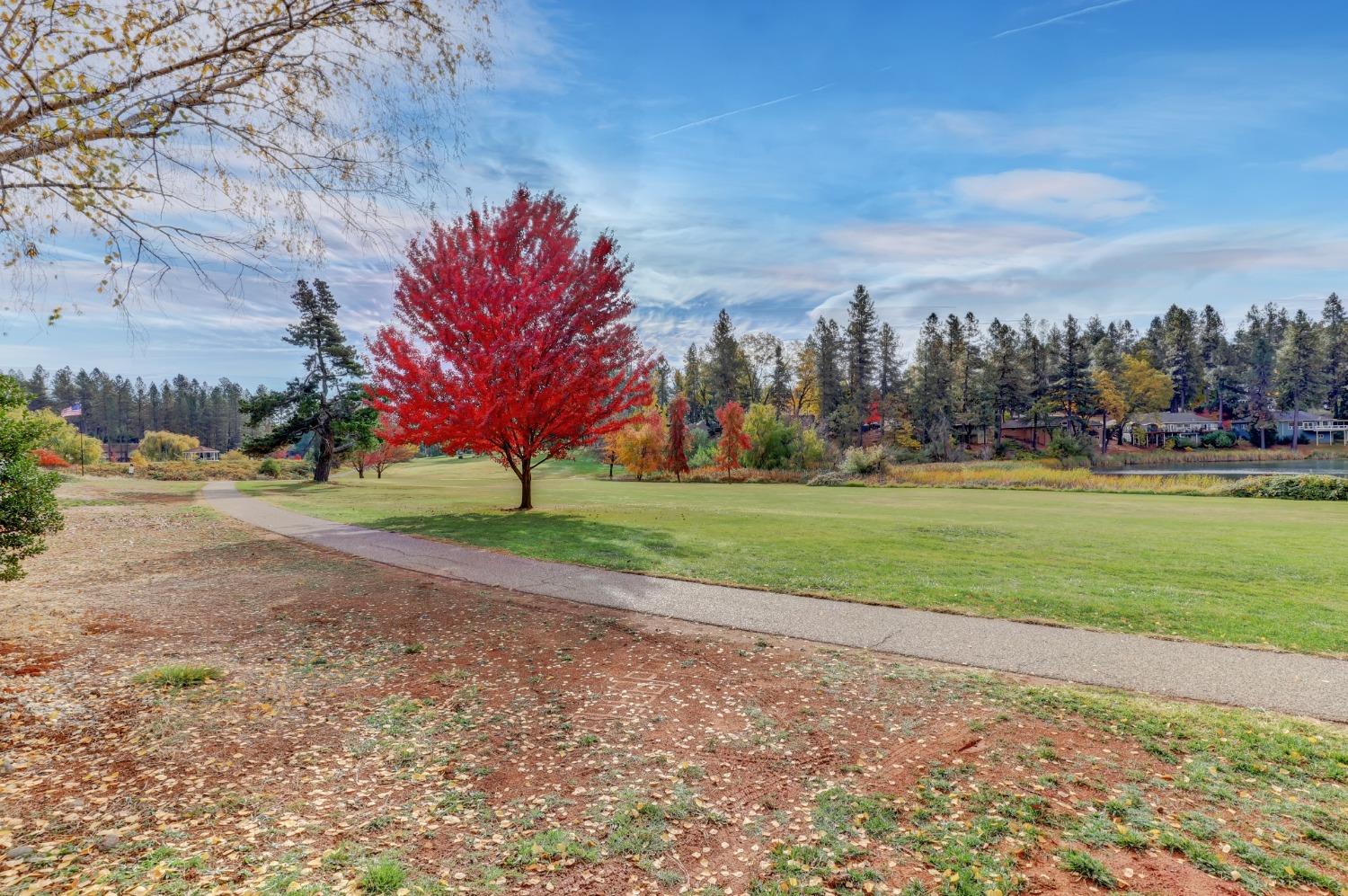 Detail Gallery Image 71 of 96 For 11197 Lower Circle Dr, Grass Valley,  CA 95949 - 3 Beds | 3 Baths