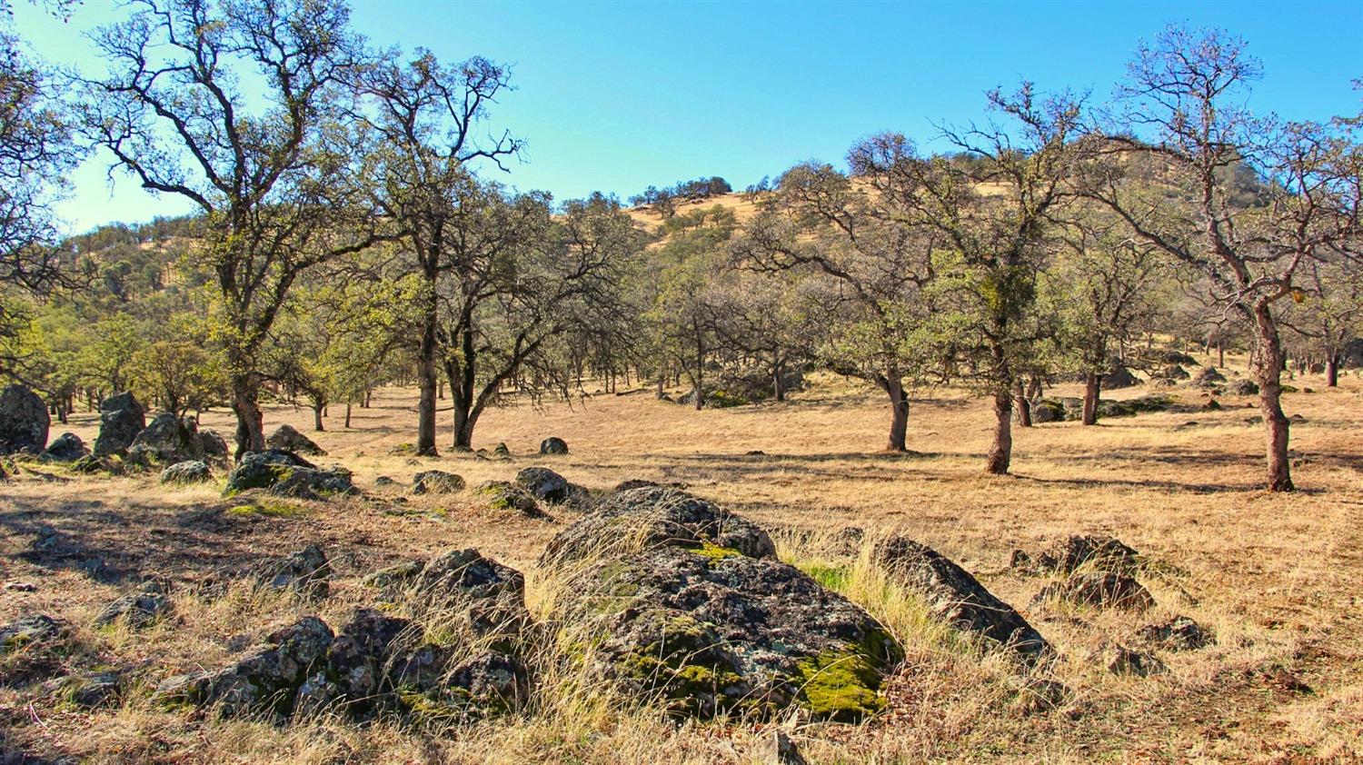 TBD Marshes Flat Road, Coulterville, California image 36