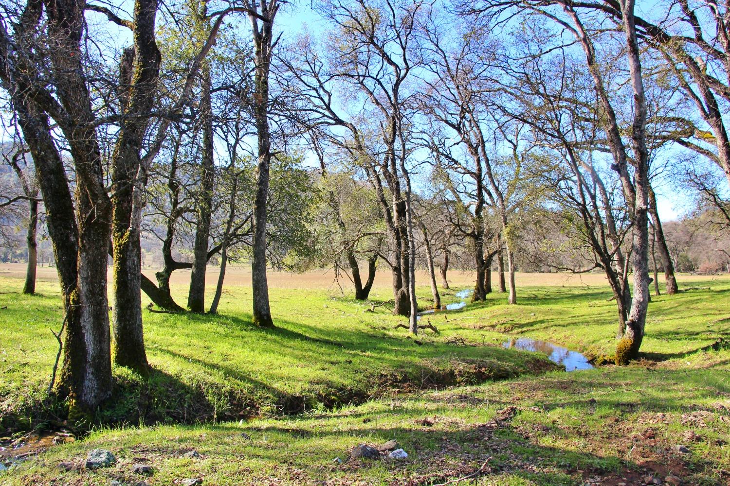 TBD Marshes Flat Road, Coulterville, California image 23