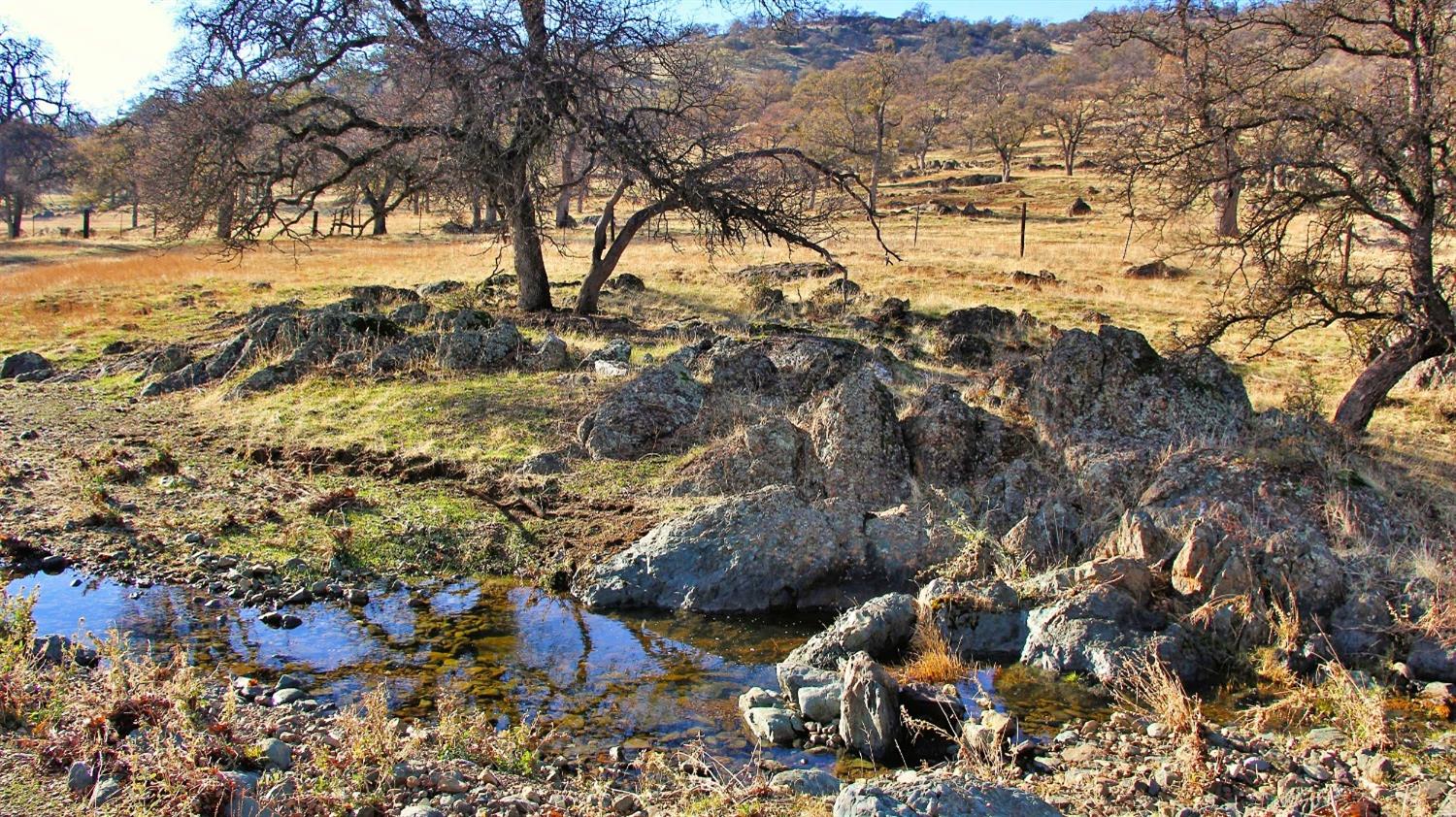 TBD Marshes Flat Road, Coulterville, California image 19