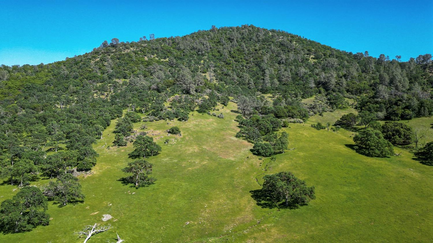 TBD Marshes Flat Road, Coulterville, California image 7