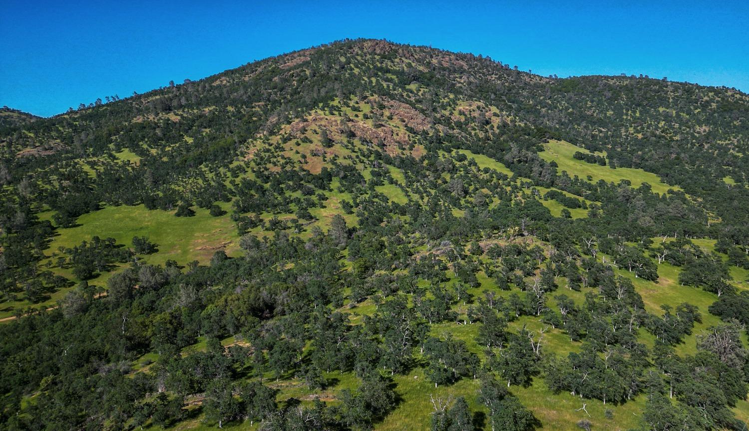 TBD Marshes Flat Road, Coulterville, California image 20