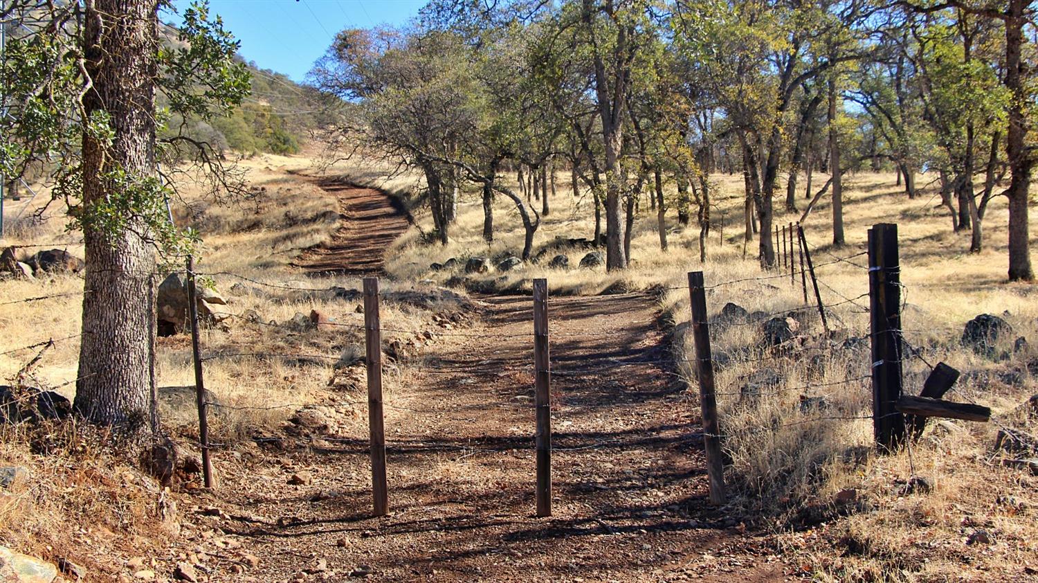 TBD Marshes Flat Road, Coulterville, California image 15