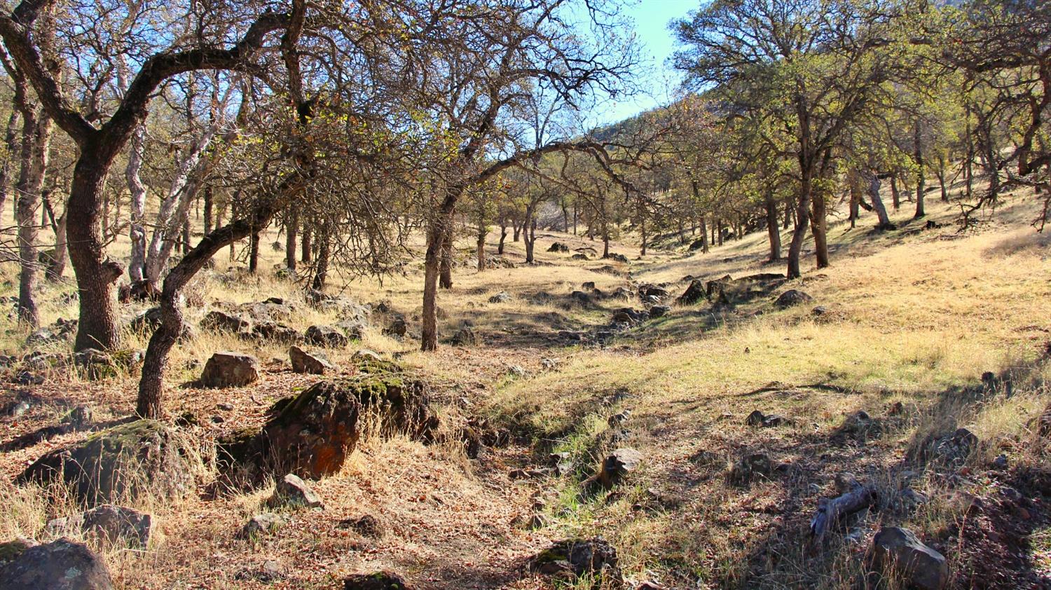 TBD Marshes Flat Road, Coulterville, California image 43