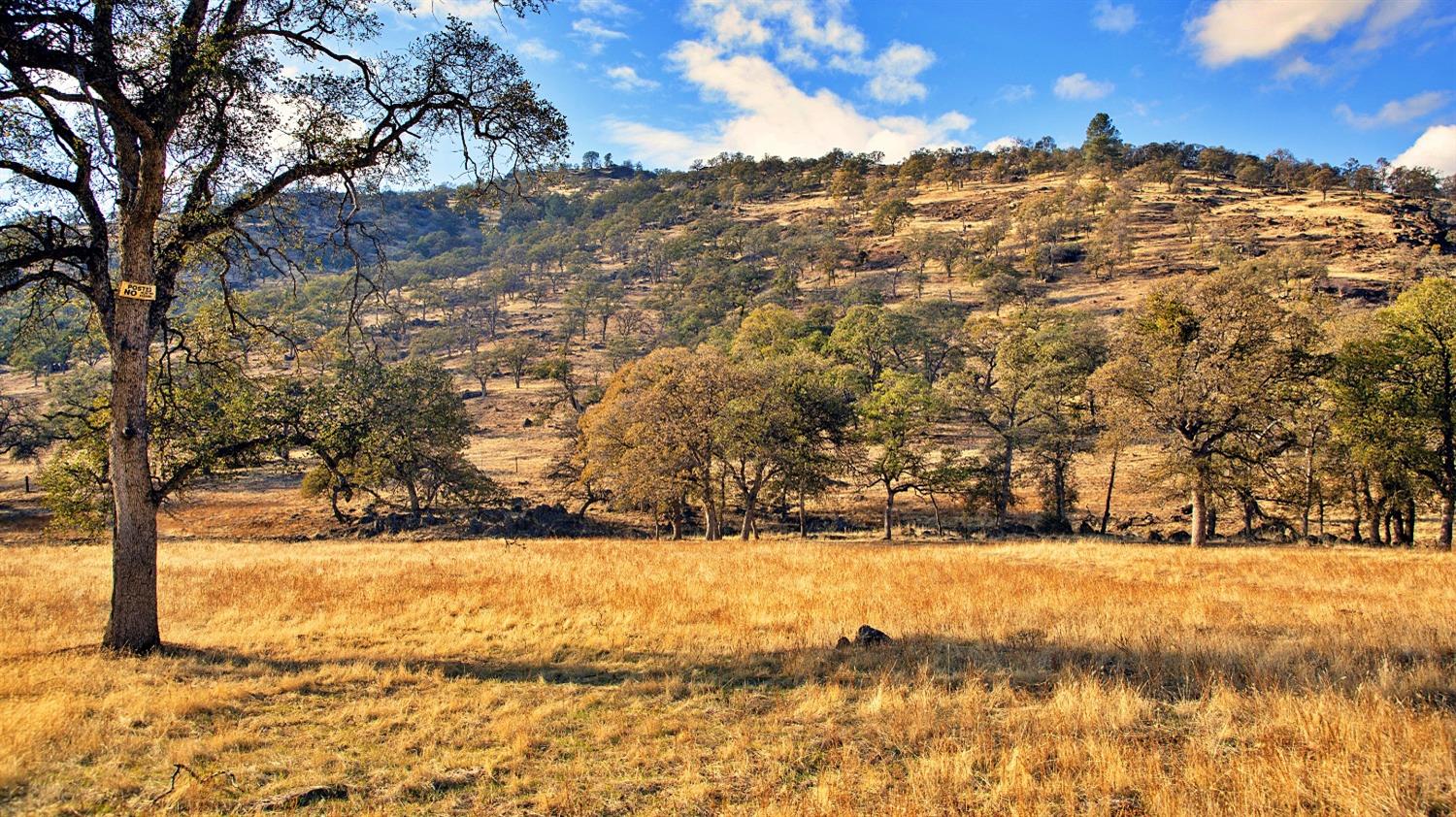 TBD Marshes Flat Road, Coulterville, California image 4