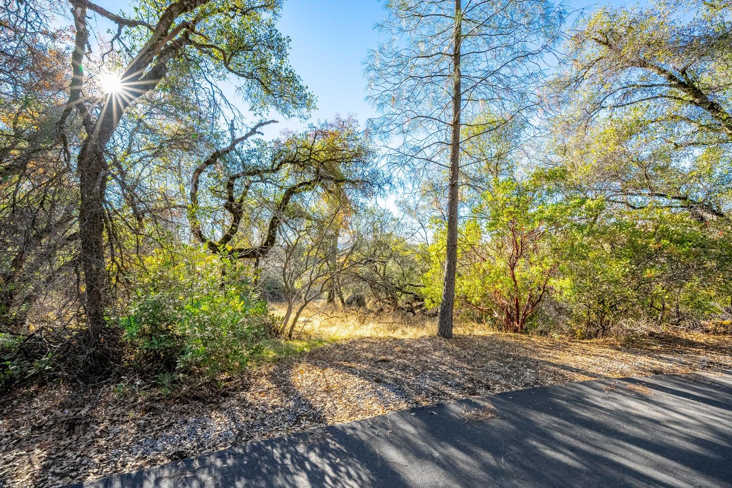 Detail Gallery Image 4 of 26 For 0 Leaning Tree, Placerville,  CA 95667 - – Beds | – Baths