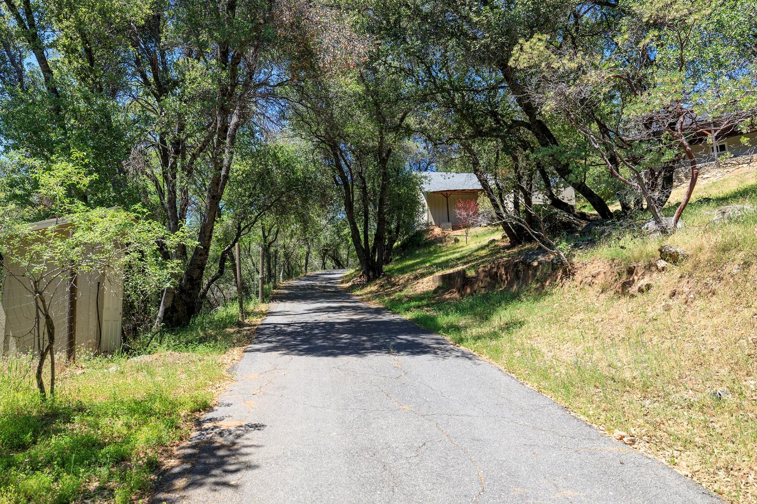 Hershey Road, Tuolumne, California image 11