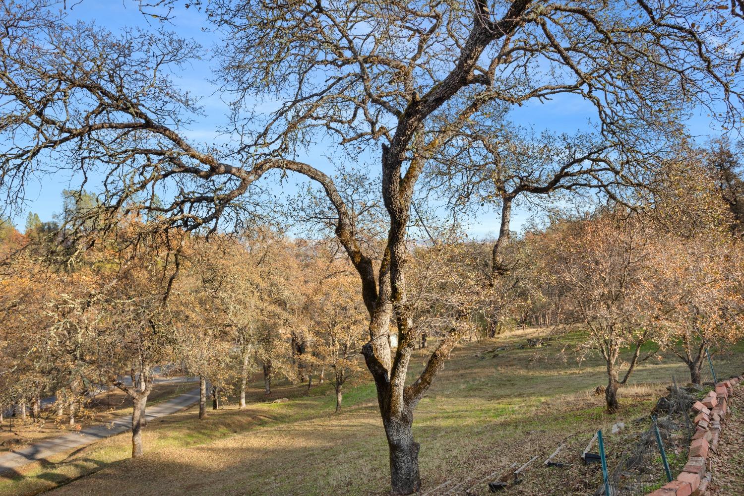 Pedro Hill Road, Pilot Hill, California image 6