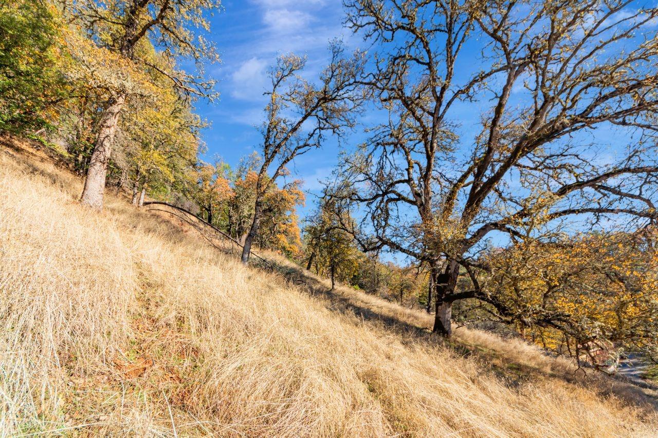 Detail Gallery Image 5 of 14 For 16297 Dog Bar Rd, Grass Valley,  CA 95949 - – Beds | – Baths