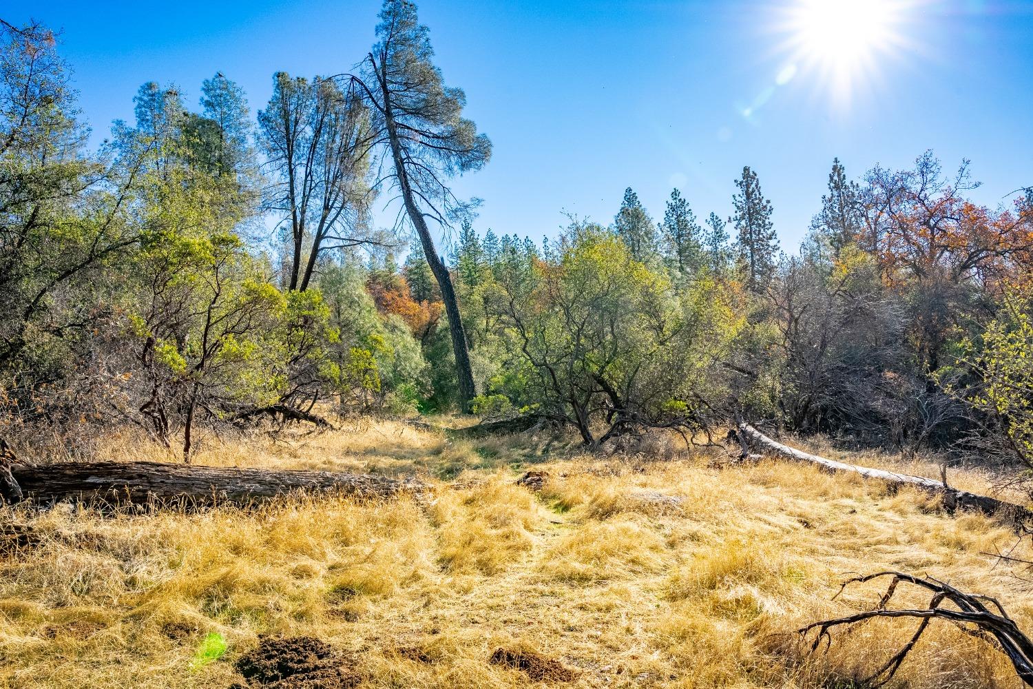 Detail Gallery Image 22 of 26 For 0 Leaning Tree, Placerville,  CA 95667 - – Beds | – Baths