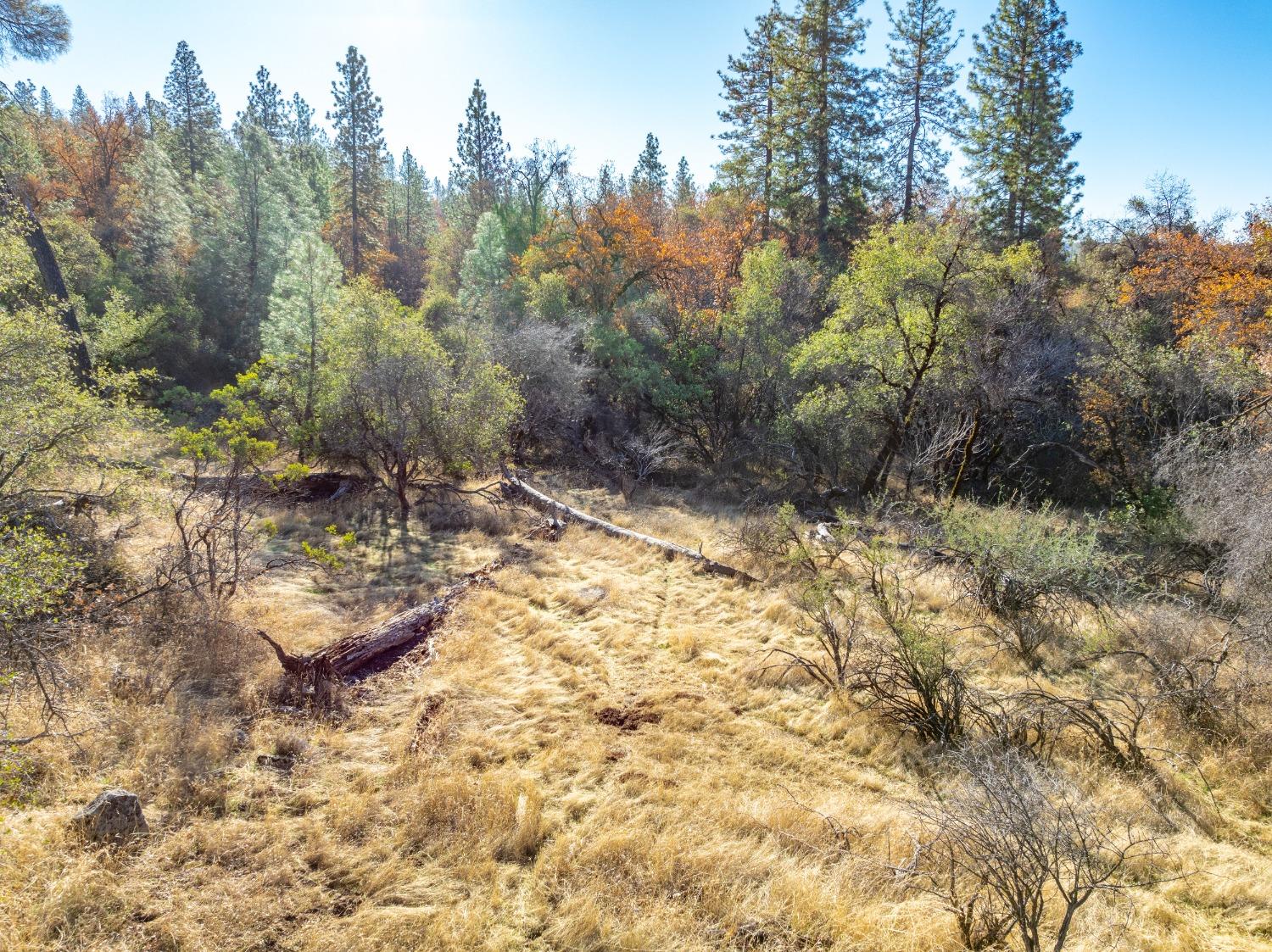 Detail Gallery Image 9 of 26 For 0 Leaning Tree, Placerville,  CA 95667 - – Beds | – Baths