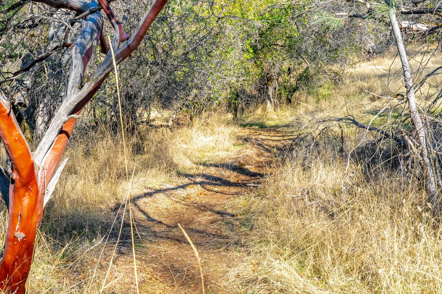 Detail Gallery Image 23 of 26 For 0 Leaning Tree, Placerville,  CA 95667 - – Beds | – Baths