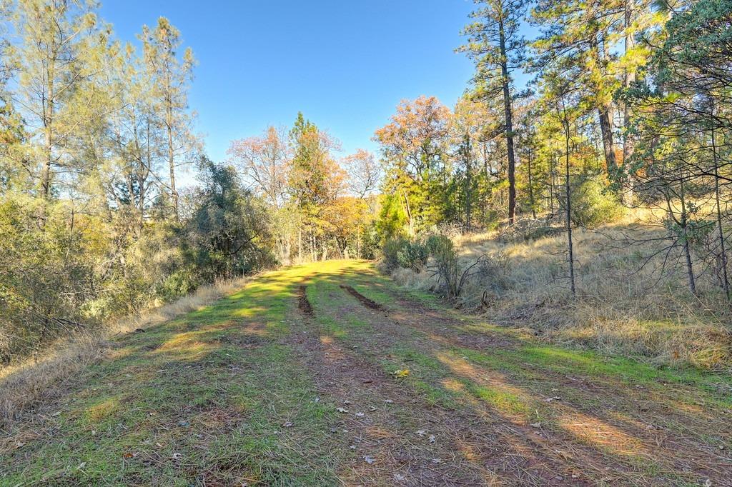 Retherford Road, Grass Valley, California image 7