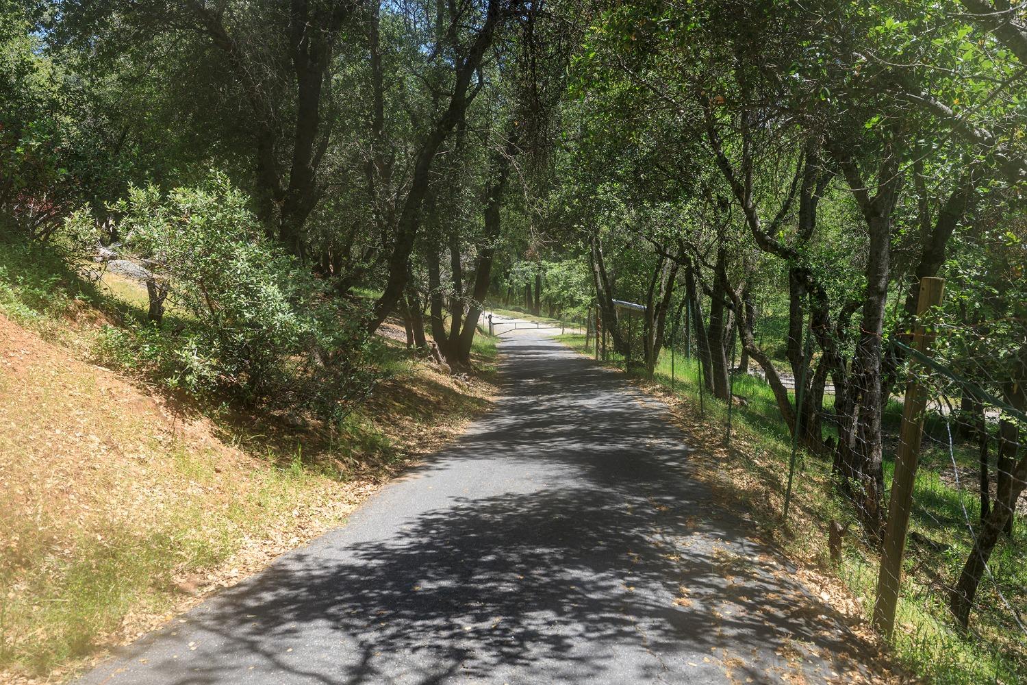 Hershey Road, Tuolumne, California image 12