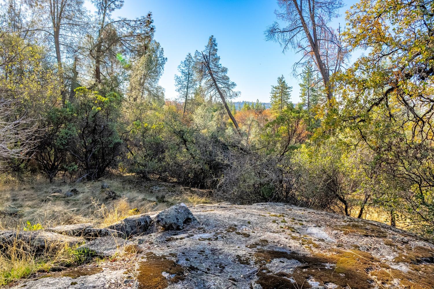 Detail Gallery Image 17 of 26 For 0 Leaning Tree, Placerville,  CA 95667 - – Beds | – Baths