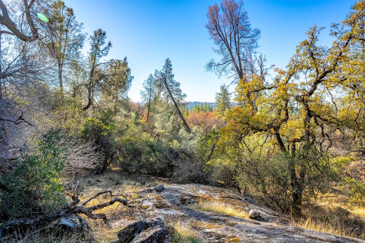 Detail Gallery Image 16 of 26 For 0 Leaning Tree, Placerville,  CA 95667 - – Beds | – Baths