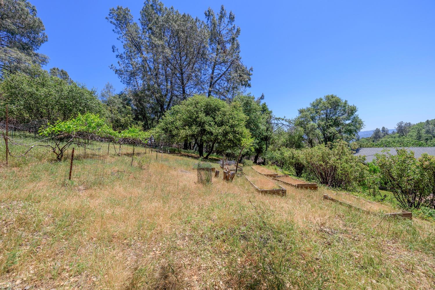 Detail Gallery Image 79 of 80 For 18475 Hershey Rd, Tuolumne,  CA 95379 - 3 Beds | 2 Baths