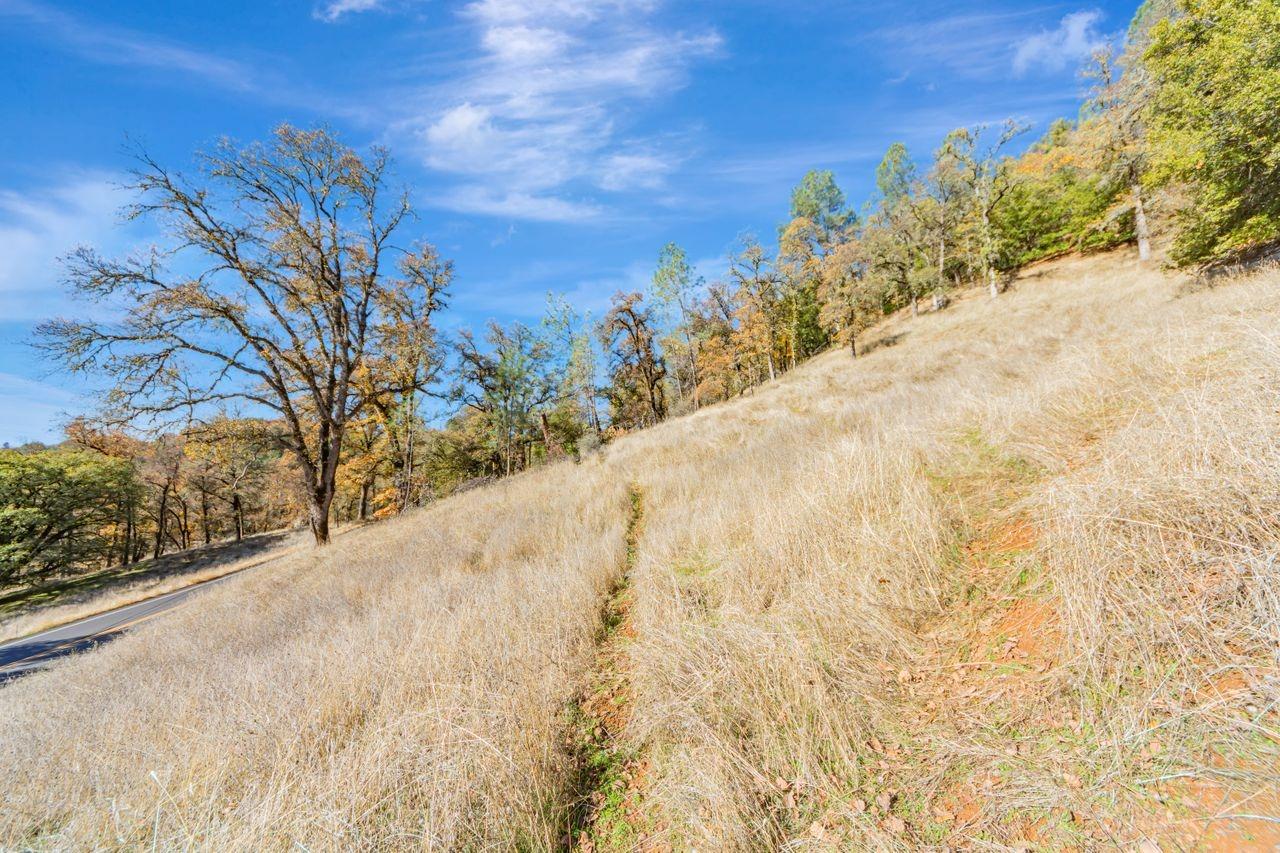 Detail Gallery Image 6 of 14 For 16297 Dog Bar Rd, Grass Valley,  CA 95949 - – Beds | – Baths