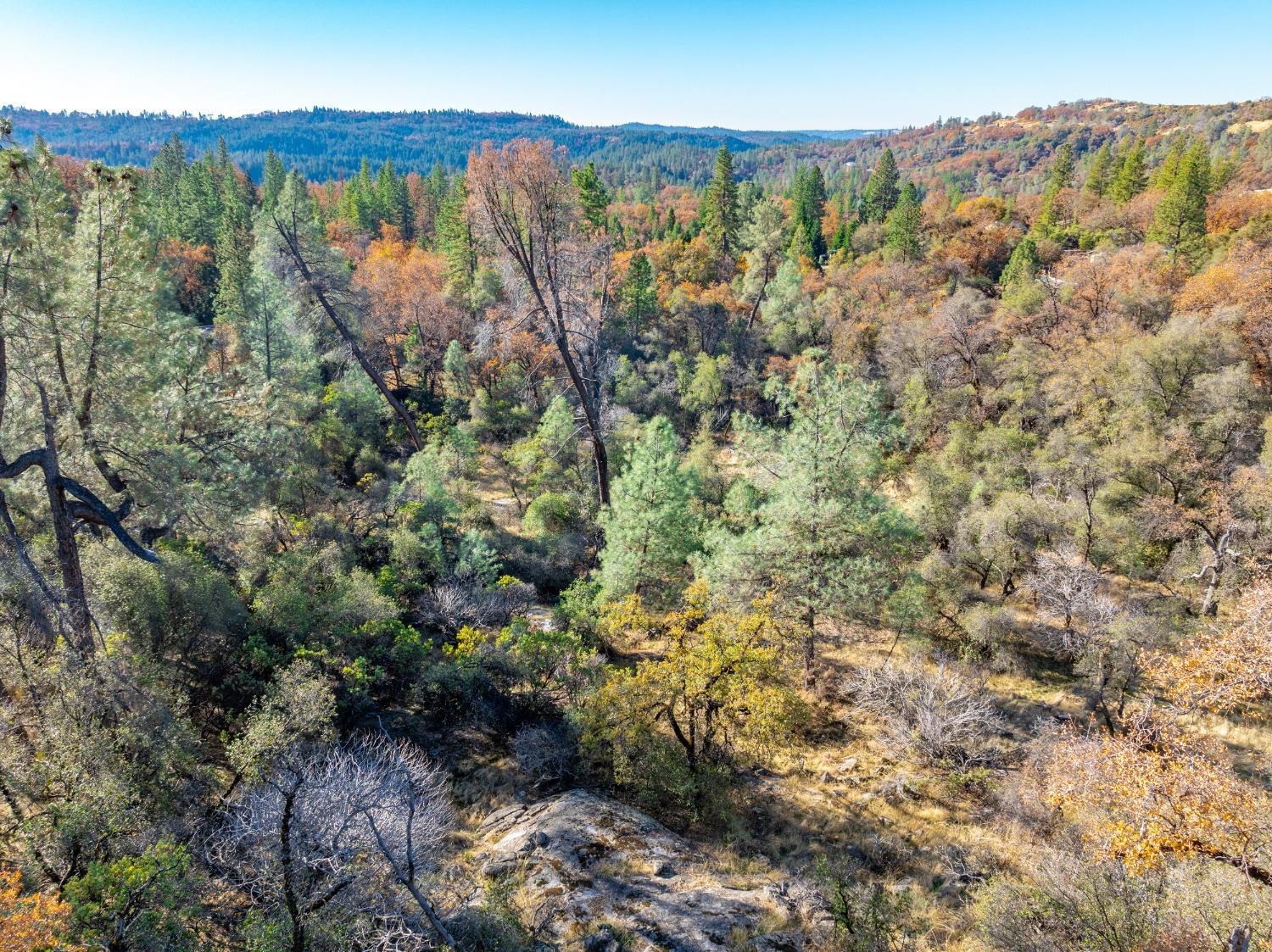 Detail Gallery Image 15 of 26 For 0 Leaning Tree, Placerville,  CA 95667 - – Beds | – Baths