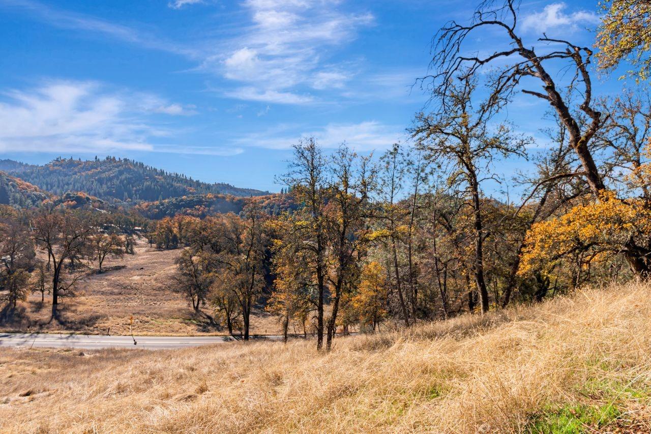 Detail Gallery Image 7 of 14 For 16297 Dog Bar Rd, Grass Valley,  CA 95949 - – Beds | – Baths