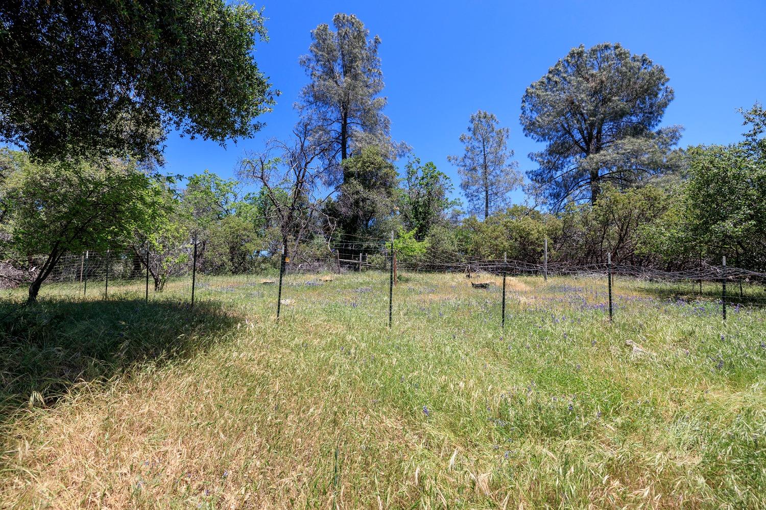 Detail Gallery Image 80 of 80 For 18475 Hershey Rd, Tuolumne,  CA 95379 - 3 Beds | 2 Baths