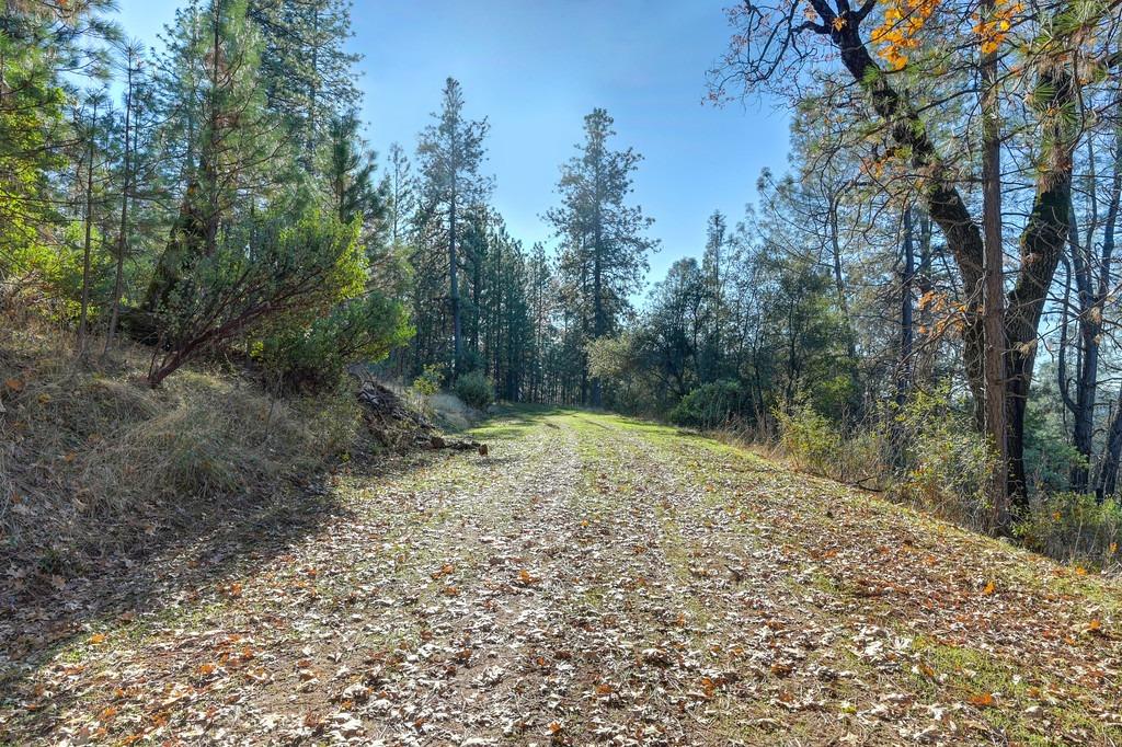 Retherford Road, Grass Valley, California image 5