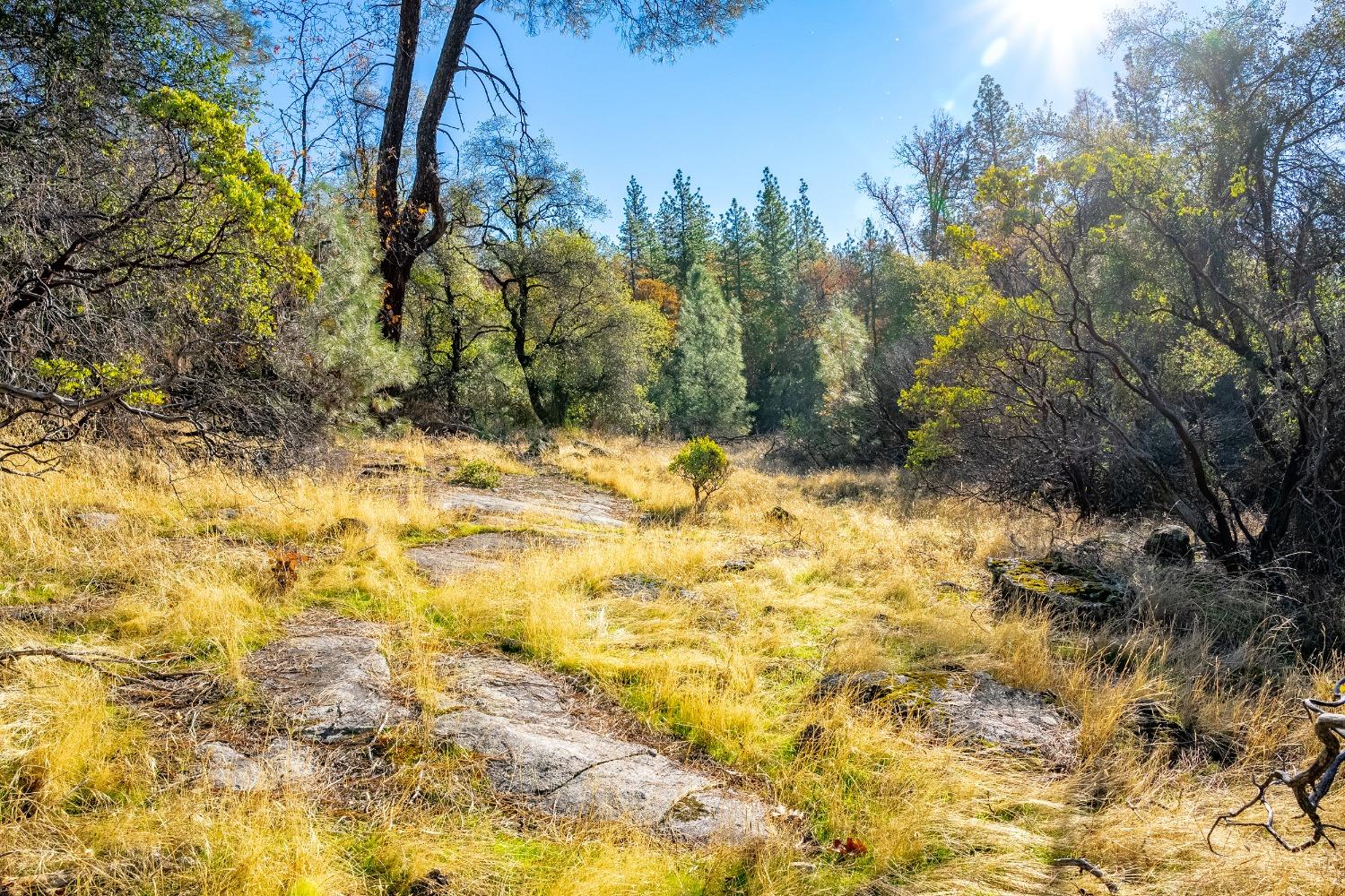 Detail Gallery Image 20 of 26 For 0 Leaning Tree, Placerville,  CA 95667 - – Beds | – Baths